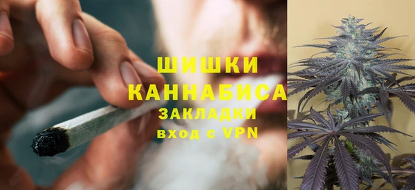 шишки Покачи