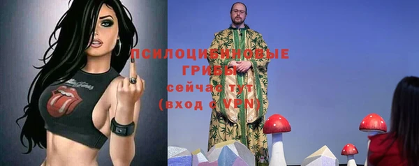 бошки Аркадак