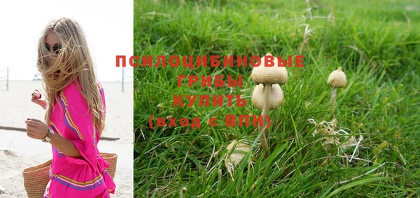 бошки Аркадак